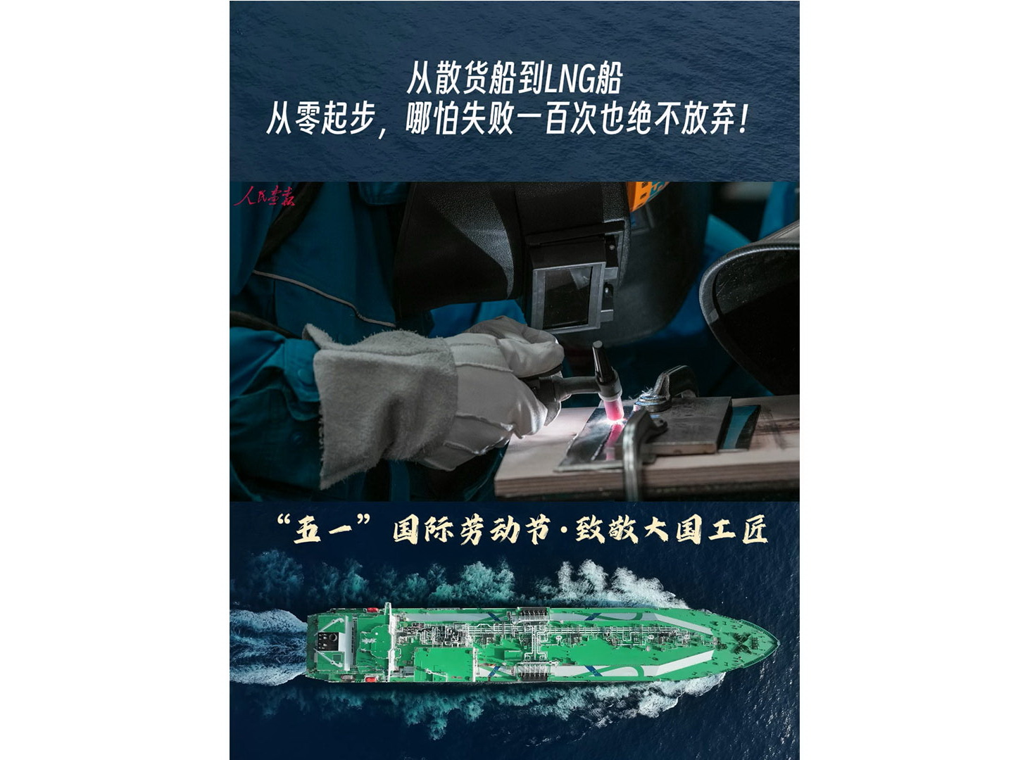 切片1wb.jpg