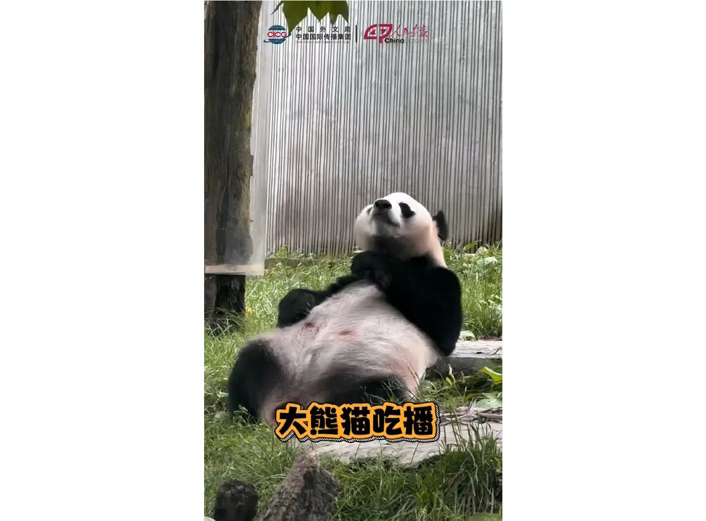 未标题wb.jpg