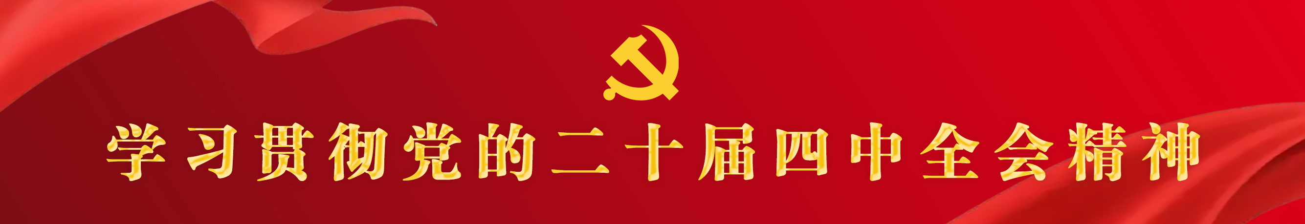 中国共产党第二十届中央委员会第四次全体会议