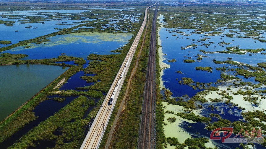 DJI_0011.JPG