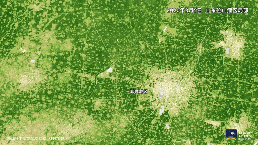 1125701127_15839837193841n.jpg