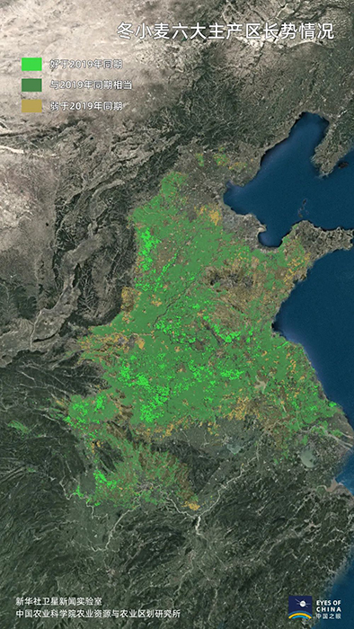 卫星发现一个信号:中国耕地正在绿起来