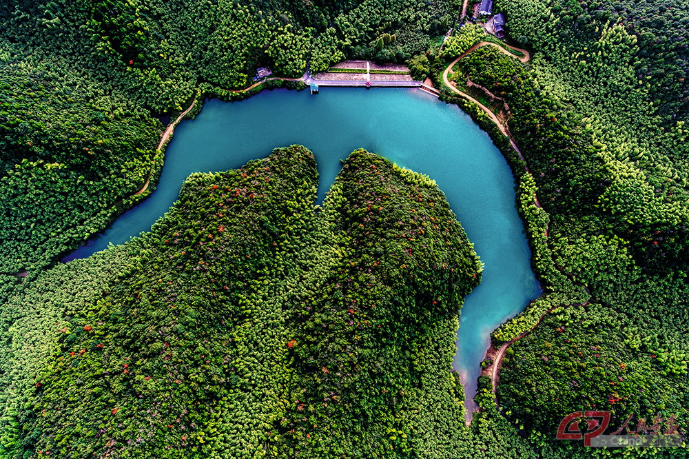 青山村龙坞水库.jpg