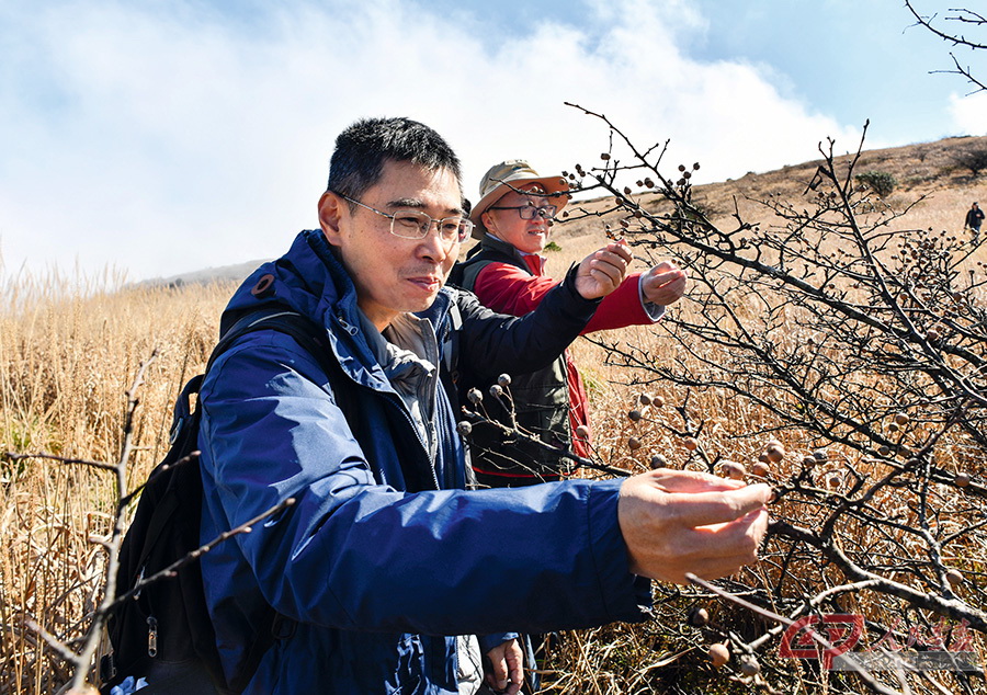 科研人员在武夷山国家公园开展植物专项调查--黄海 摄.jpg