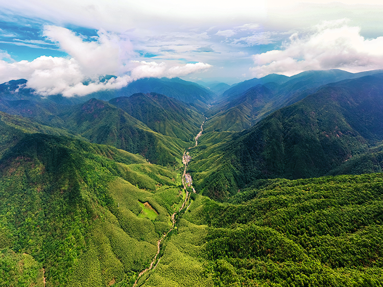 4东南大峡谷（又称武夷大峡谷）形成于中生代（距今约2.30亿年到6700万年）地壳运动，南北纵横80公里，垂直落差1600多米，为东南地区“第一大峡谷”。.png