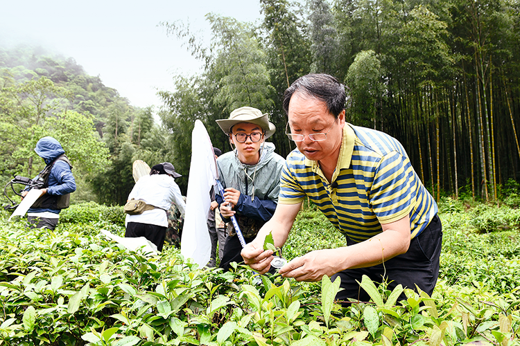 14科研人员在武夷山国家公园开展昆虫专项调查。-摄影-黄海.png