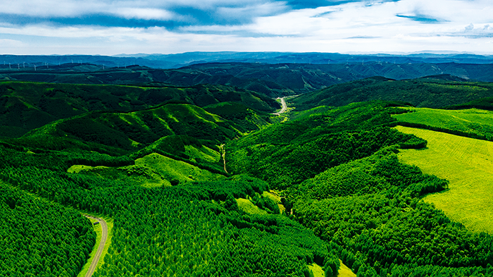 a625c962-b439-4d53-8aea-f326112f60ad.png