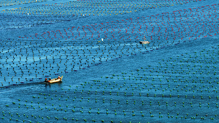 VCG111521882735.png