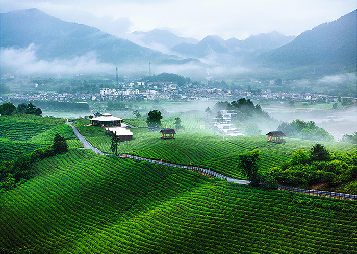 VCG111571633153.png