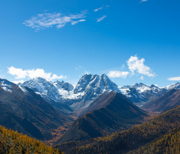 白马雪山封面.jpg