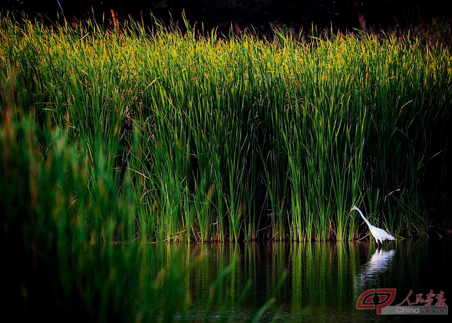 20200223FS三亚风景如画11-FZ1002840795.jpg