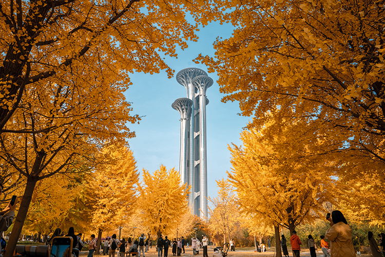 p95-1-VCG111528274539.png