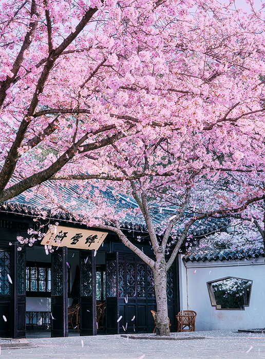 588bdc4c71da74a1b681a9135b9e8b2.png