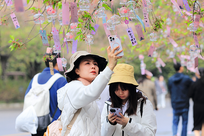 VCG111489806465.png