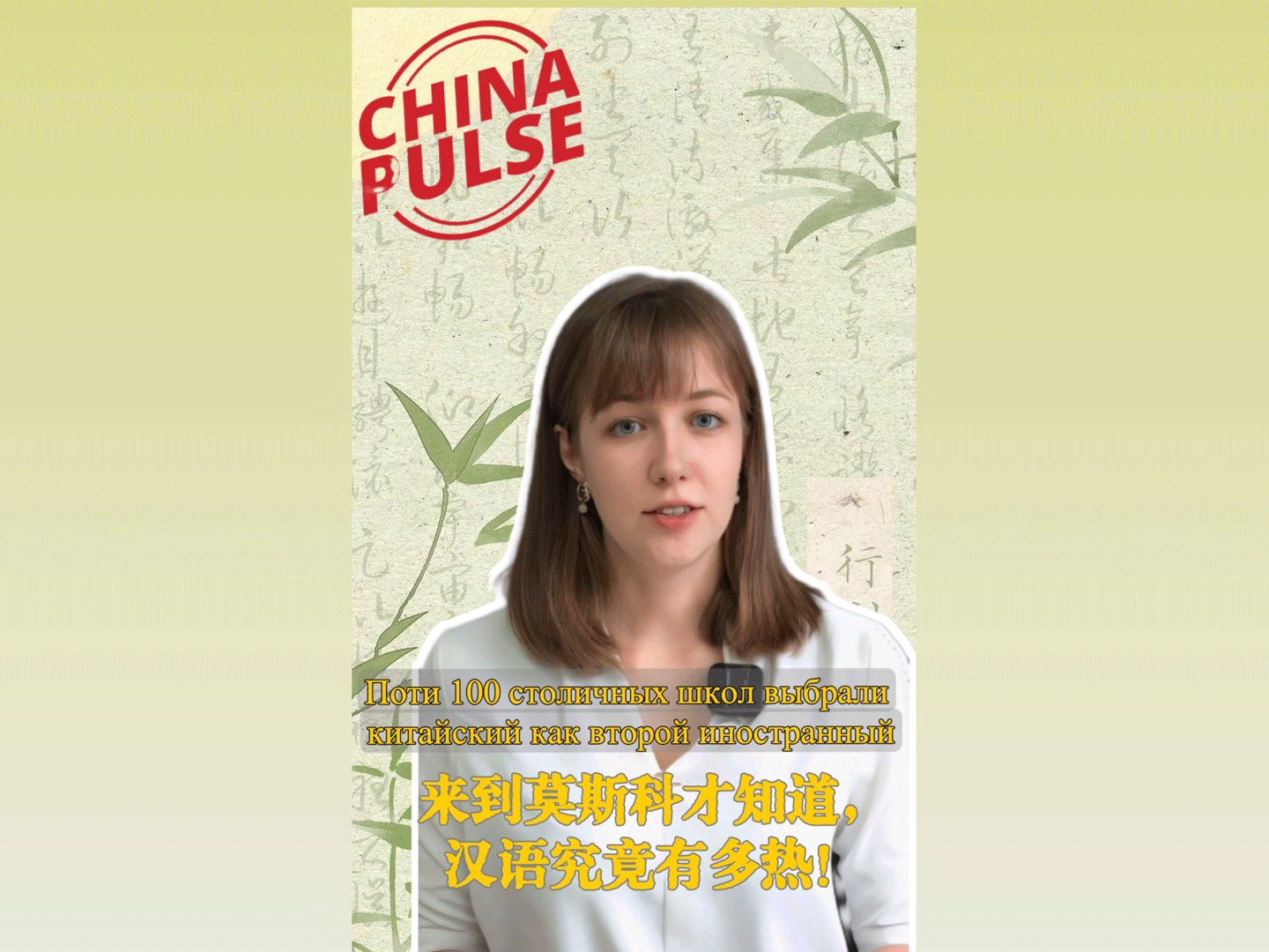 封面横版-800.png