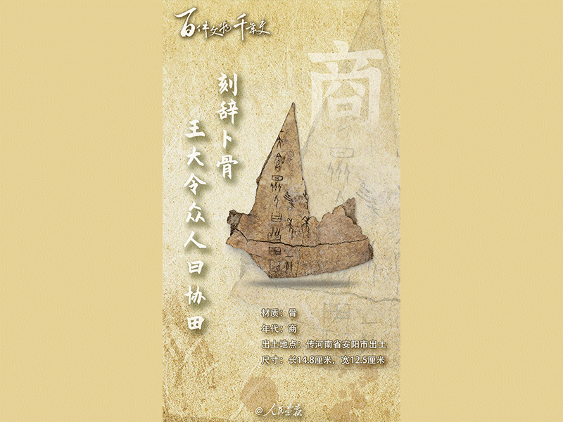 未标题-1.png