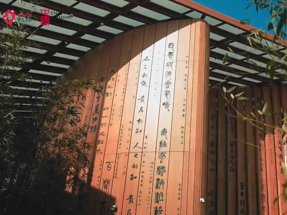 2025sbh_cn.mp4_20250416_094720.149封面.jpg