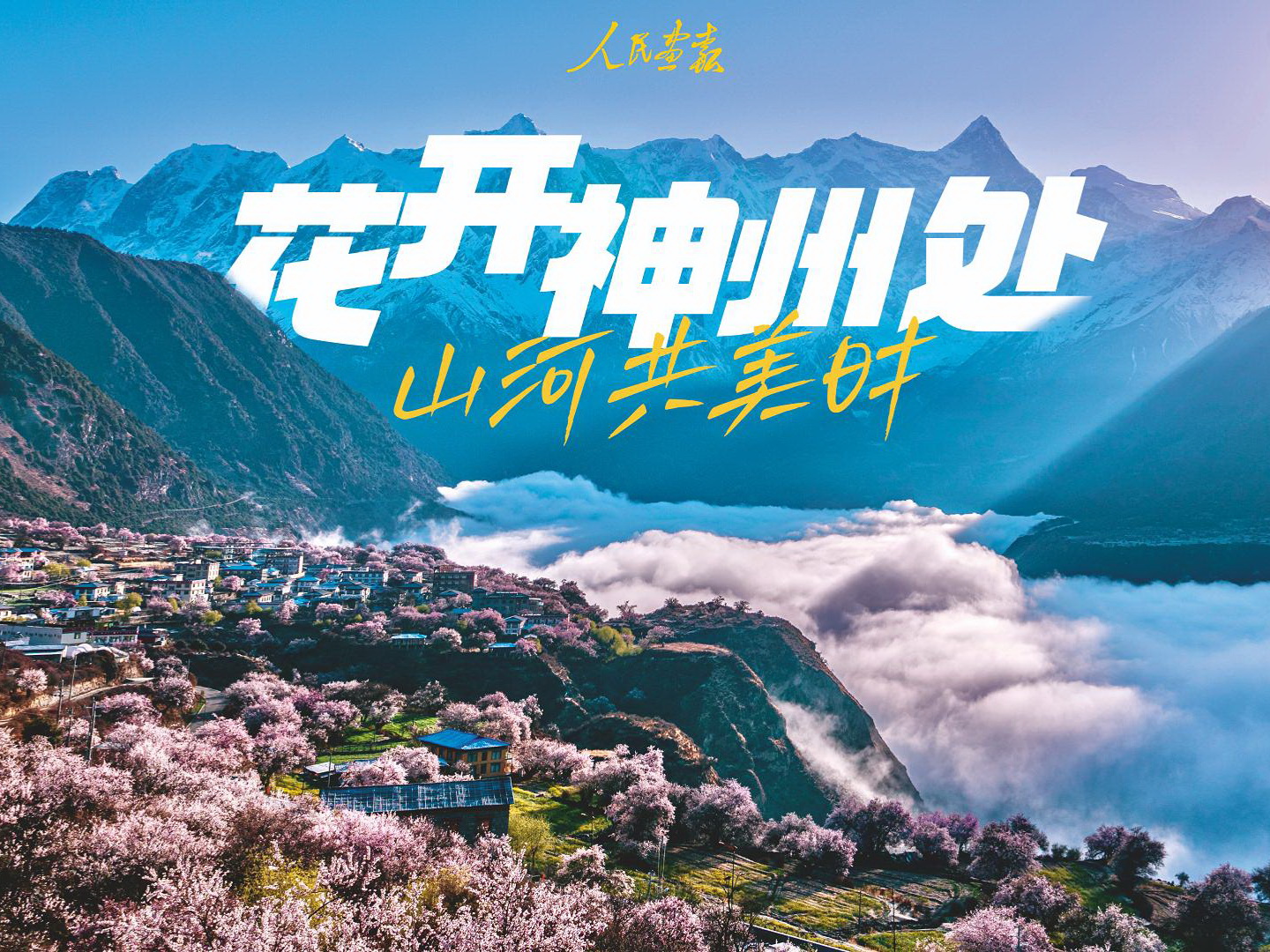 mmexport1746483809979-800封面.jpg