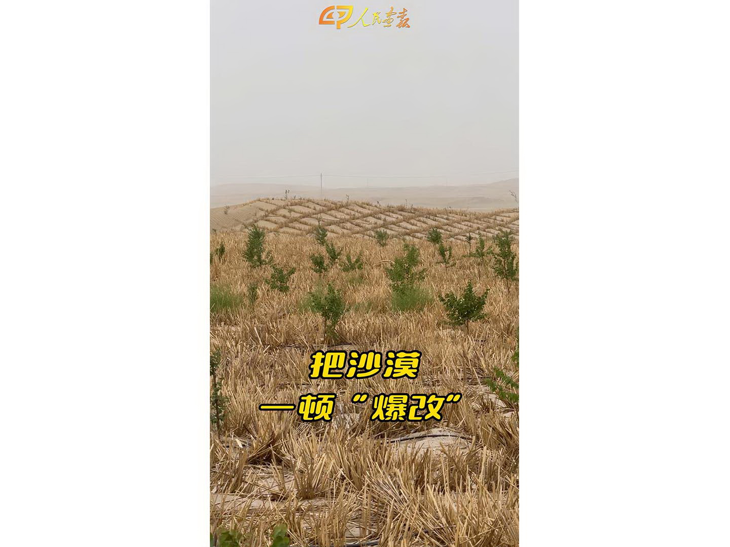 封面.jpg