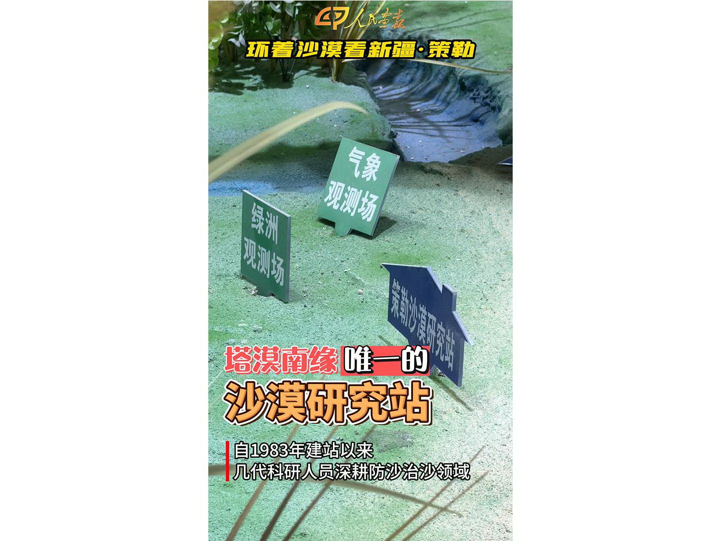 封面1.jpg
