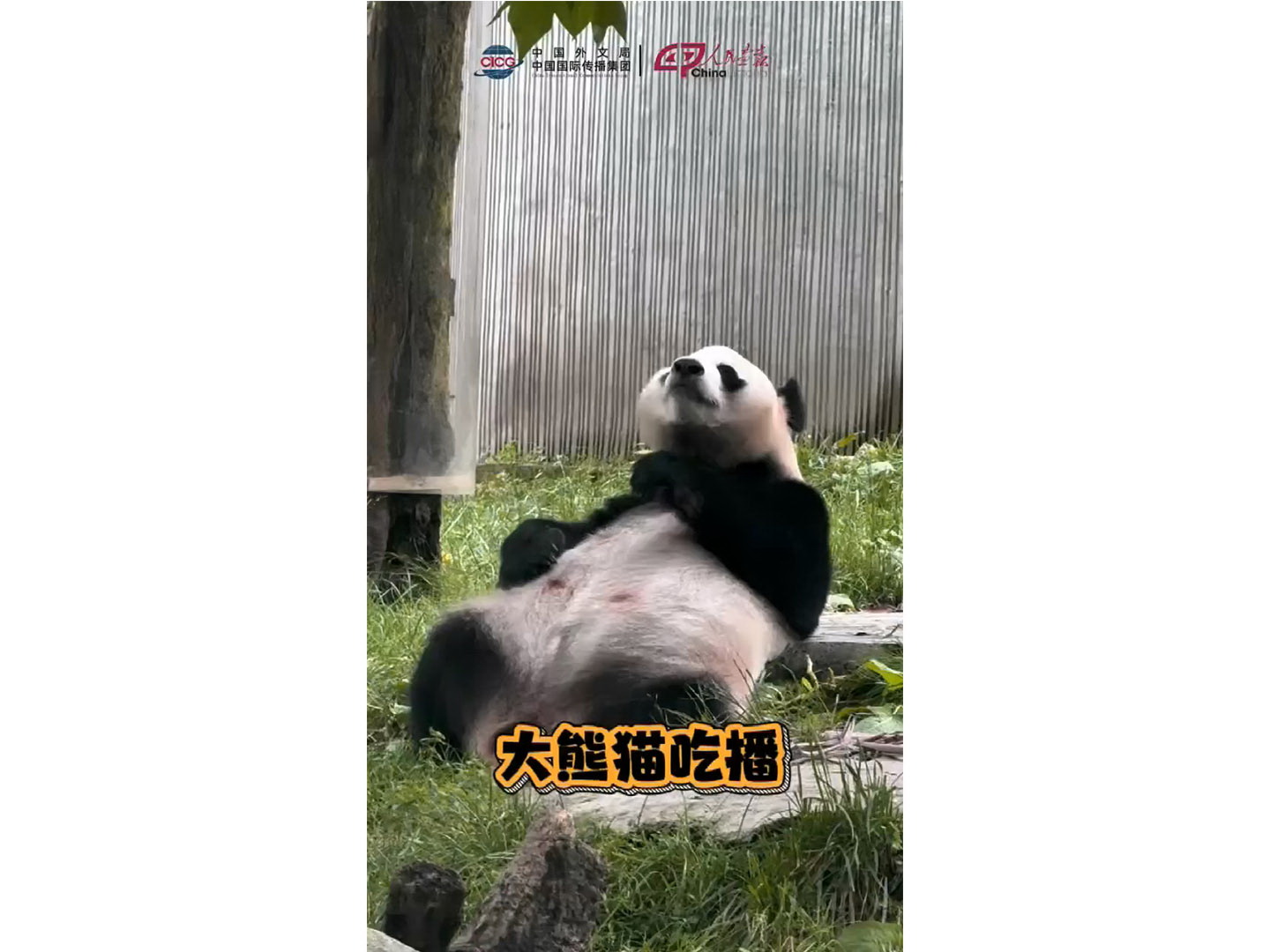 未标题-800.jpg