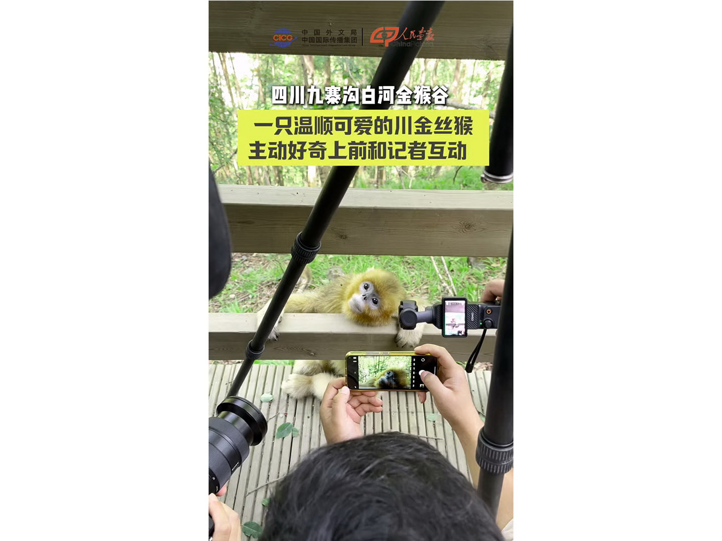 未标题-800.jpg