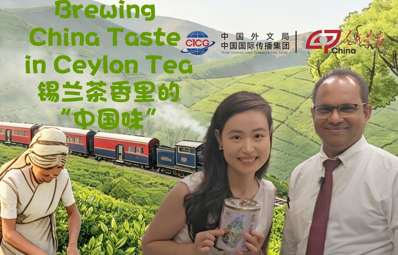 mmexport1783387799056封面800.jpg