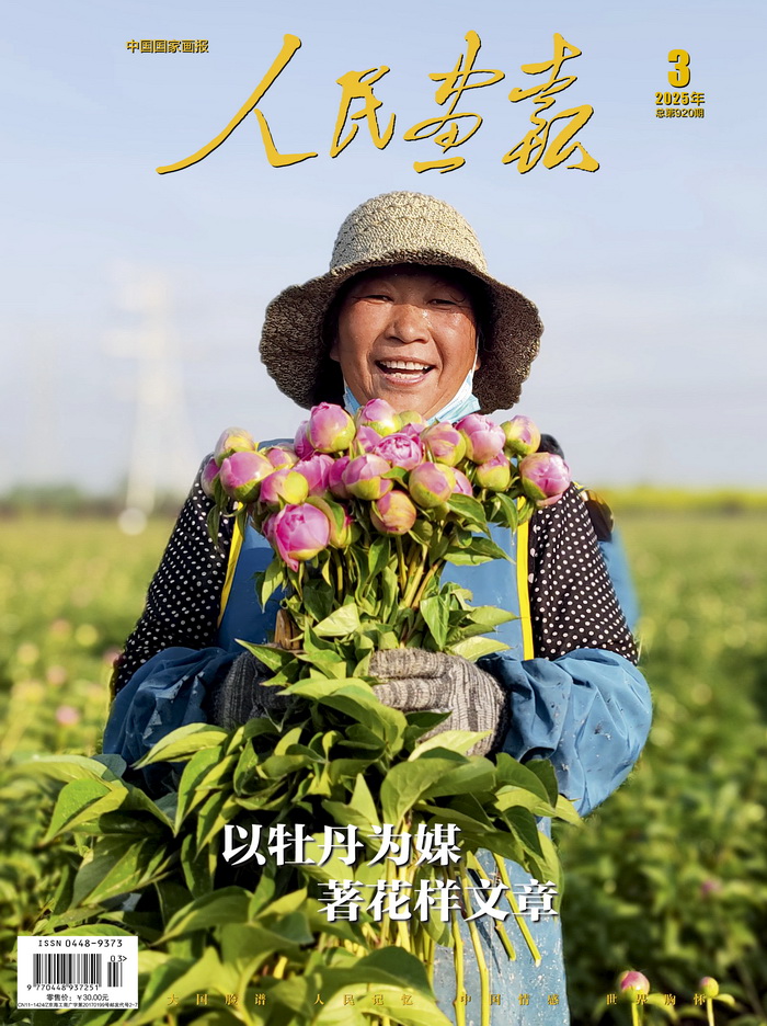 封面网站.jpg