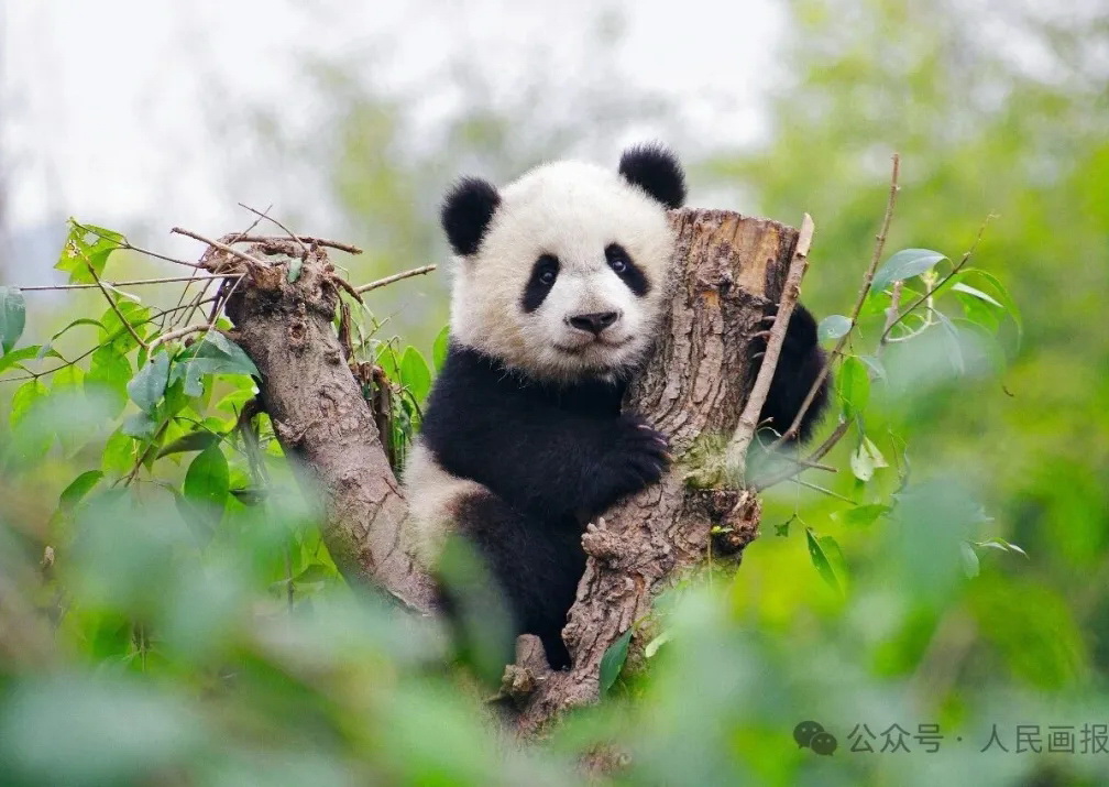 20260522_142953_024heng.jpg