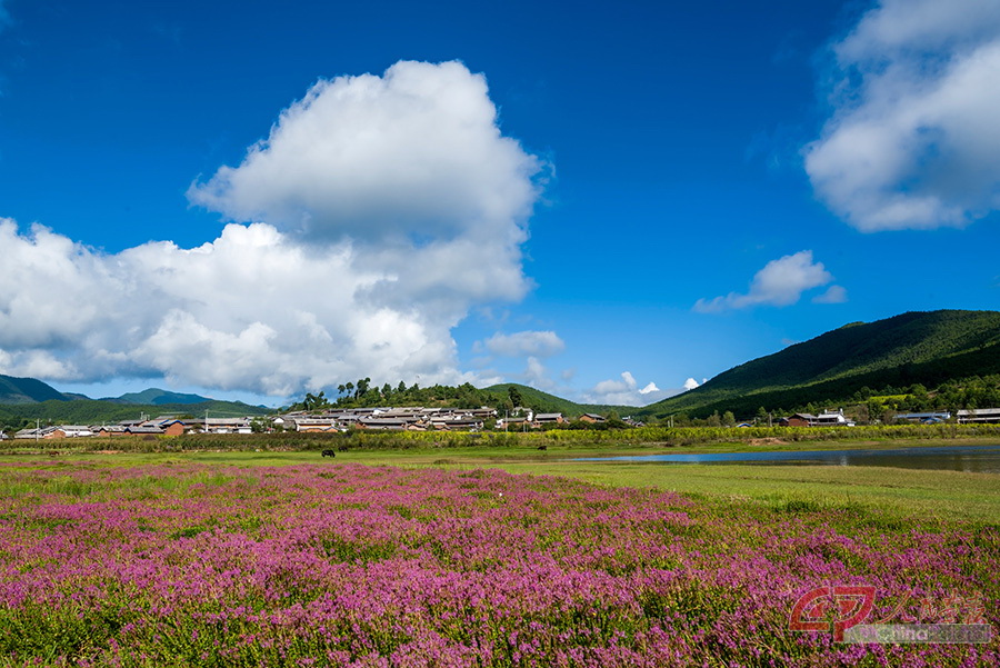 美丽的石龙村。_DSC4237.jpg