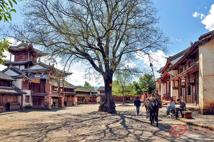 沙溪寺登街，_DSC0102.jpg