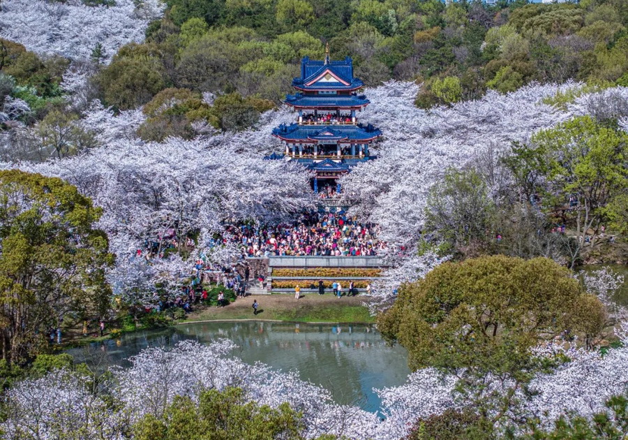 20250402_082900_000封面.jpg