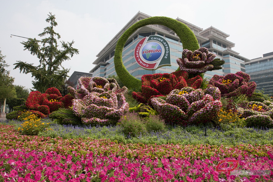 16.西单东南角布置的“繁花似锦”花坛.jpg