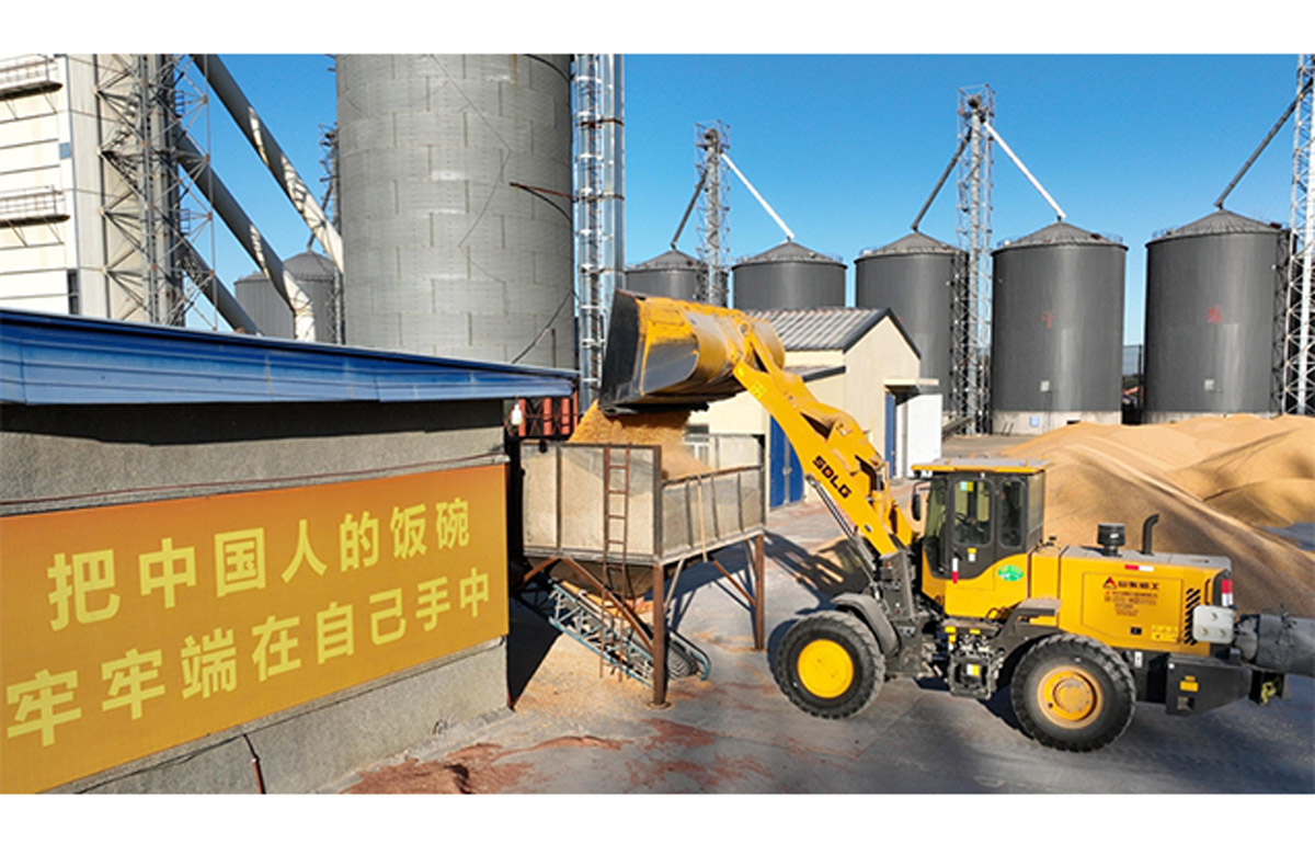 2e4c3ebc815745718fe99ba4aaf1dfe7封面1.jpg