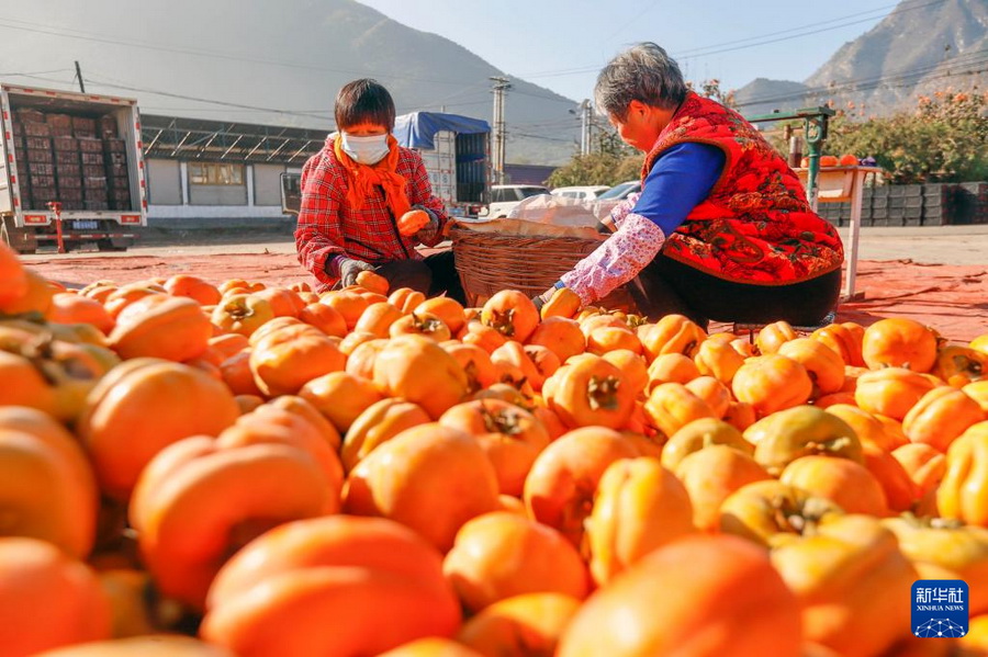 20251102cbc3afd608d447b5a47b02f6e1cb7084_202511025fd920e2839a4bcea9de230fbf2ad1a3 (2).jpg