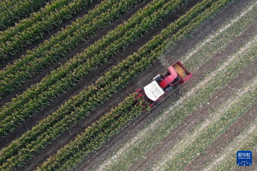 20251102cbc3afd608d447b5a47b02f6e1cb7084_202511023487906a4b9d4562bc2887d271d6f1e5 (2).jpg