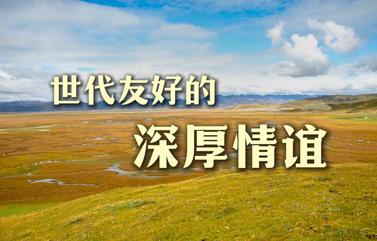 cd761e59d11a43439a7a964ac0cc7ba4封面.jpg