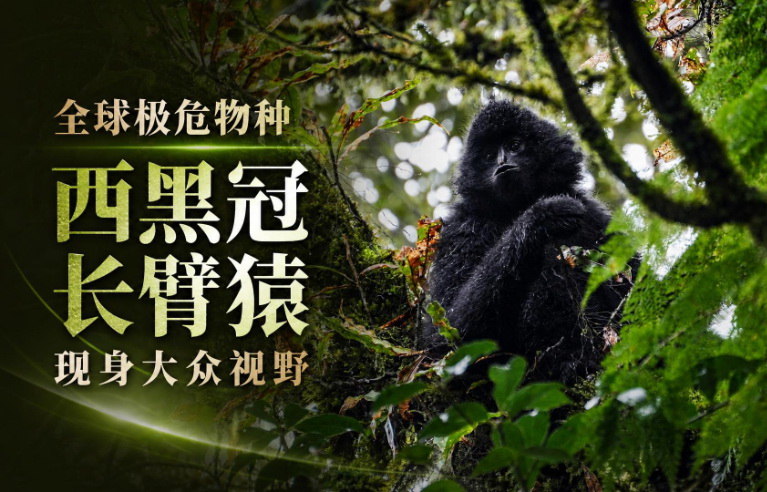 a420f951cc0c481bbe05bf1d79b6a420封面.jpg