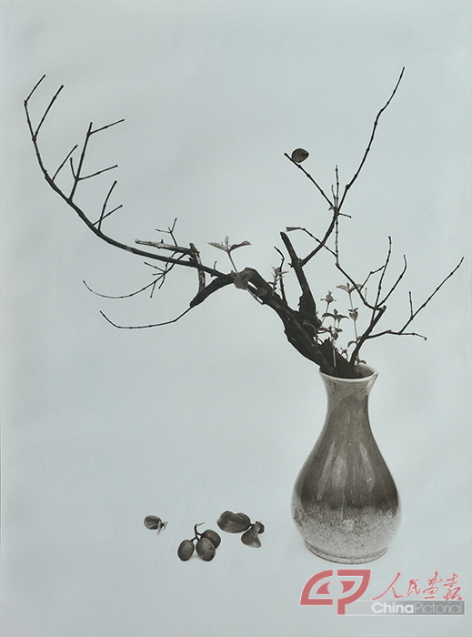 《瓶中春意》1955年，台北 郎静山 摄.jpg