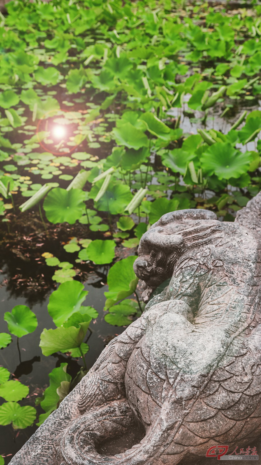 3《大运河说之时间说》立夏  2023年5月5日，北京西城什刹海运河镇水兽。.jpg