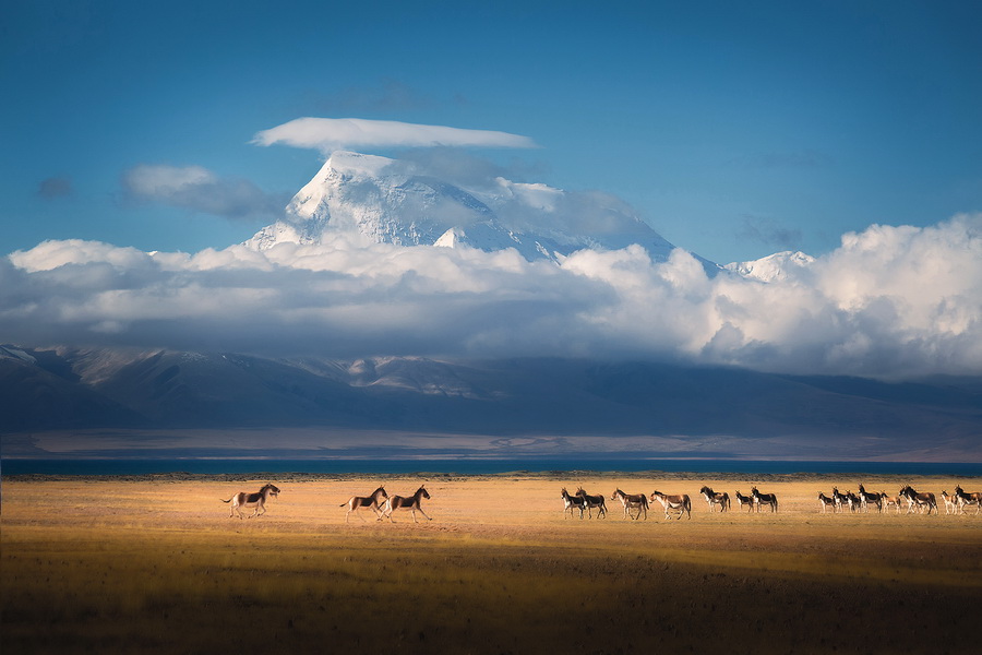 17《雪山下的梦想家园》 孙军 摄影.jpg