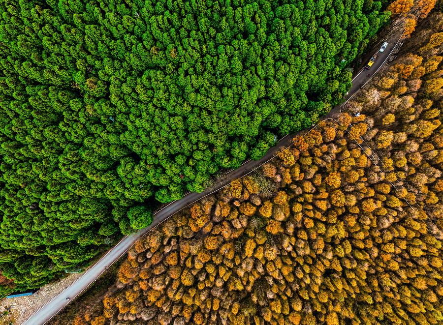 18《平分秋色》 王化全 摄影.jpg