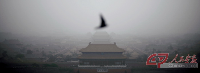 2013年6月29日，一只燕子飞过雾霾中的故宫。 摄影 袁烽力