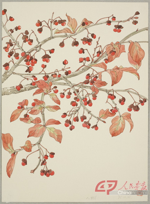26、常沙娜，八树(花椒树)，1975，30x21.5cm 副本.jpg