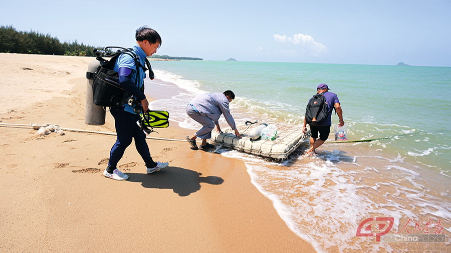 《海底“护林”》2.jpg