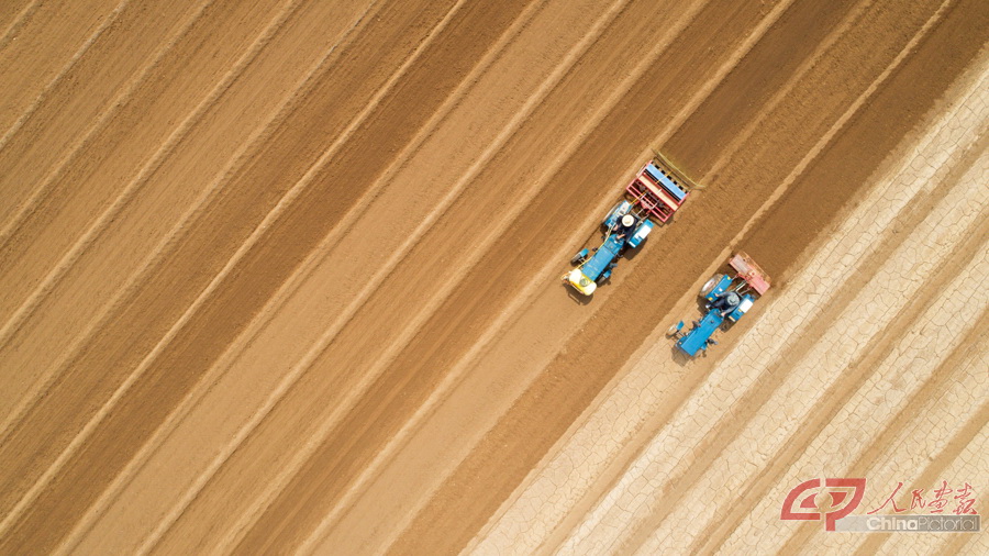 VCG111100293187.JPG