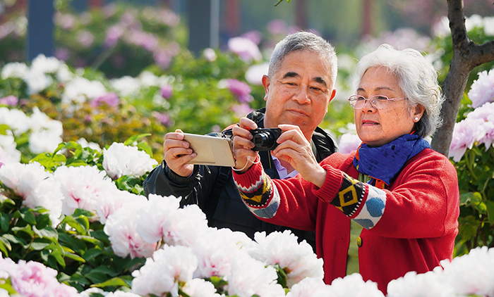 菏泽百花园景及游客3.png