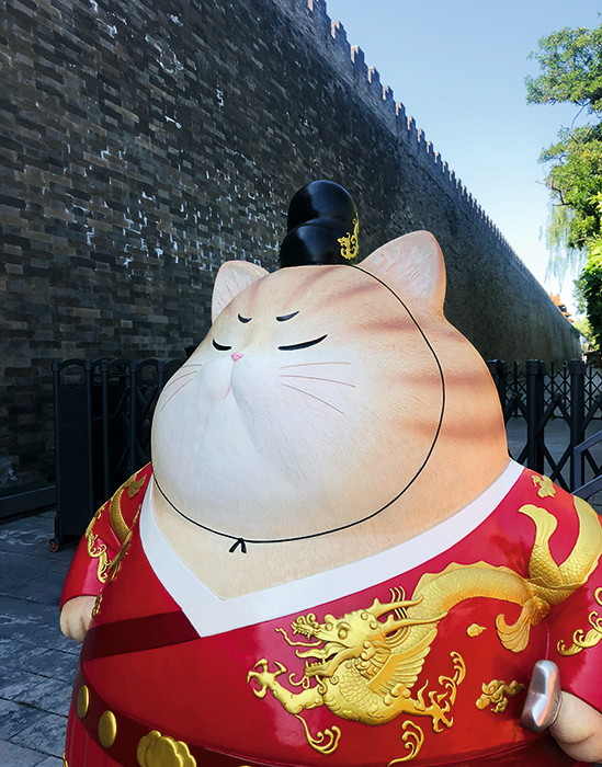 bc9b5017-3bda-4a44-9820-fb53b370270c.png