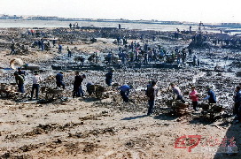 1987年王伯祥带领20万群众开发山东省寿光北部地区的场景。 新华社 供图