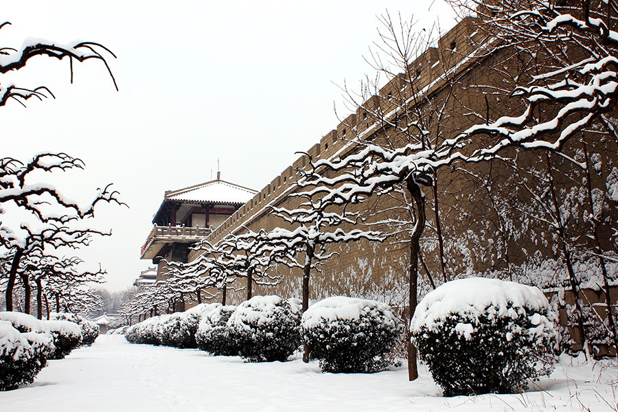 雪后赵苑--武广毅.jpg